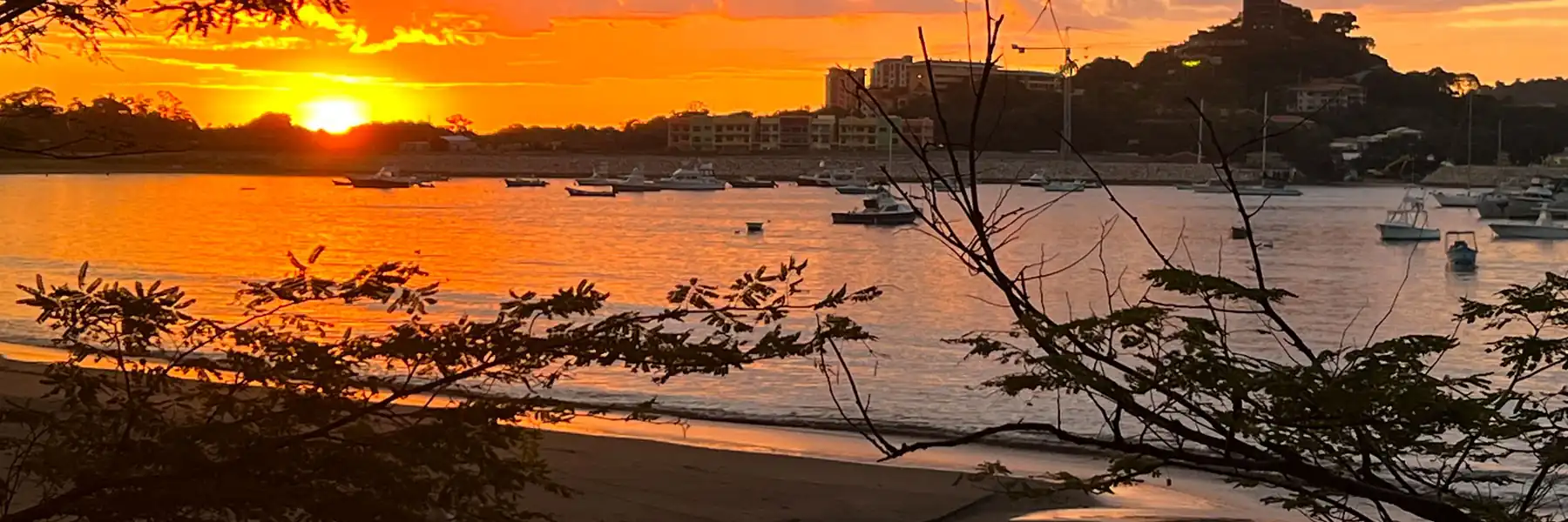 Banner Slider Photo