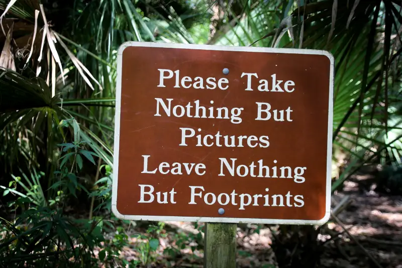 environmental example