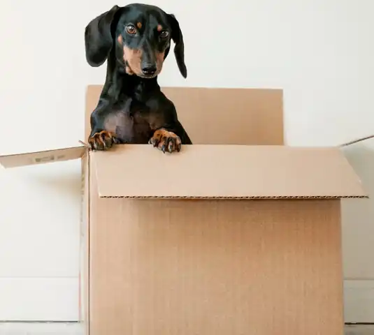 MOVING IN