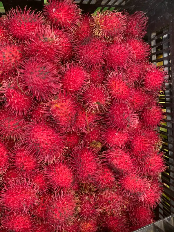 rambutan