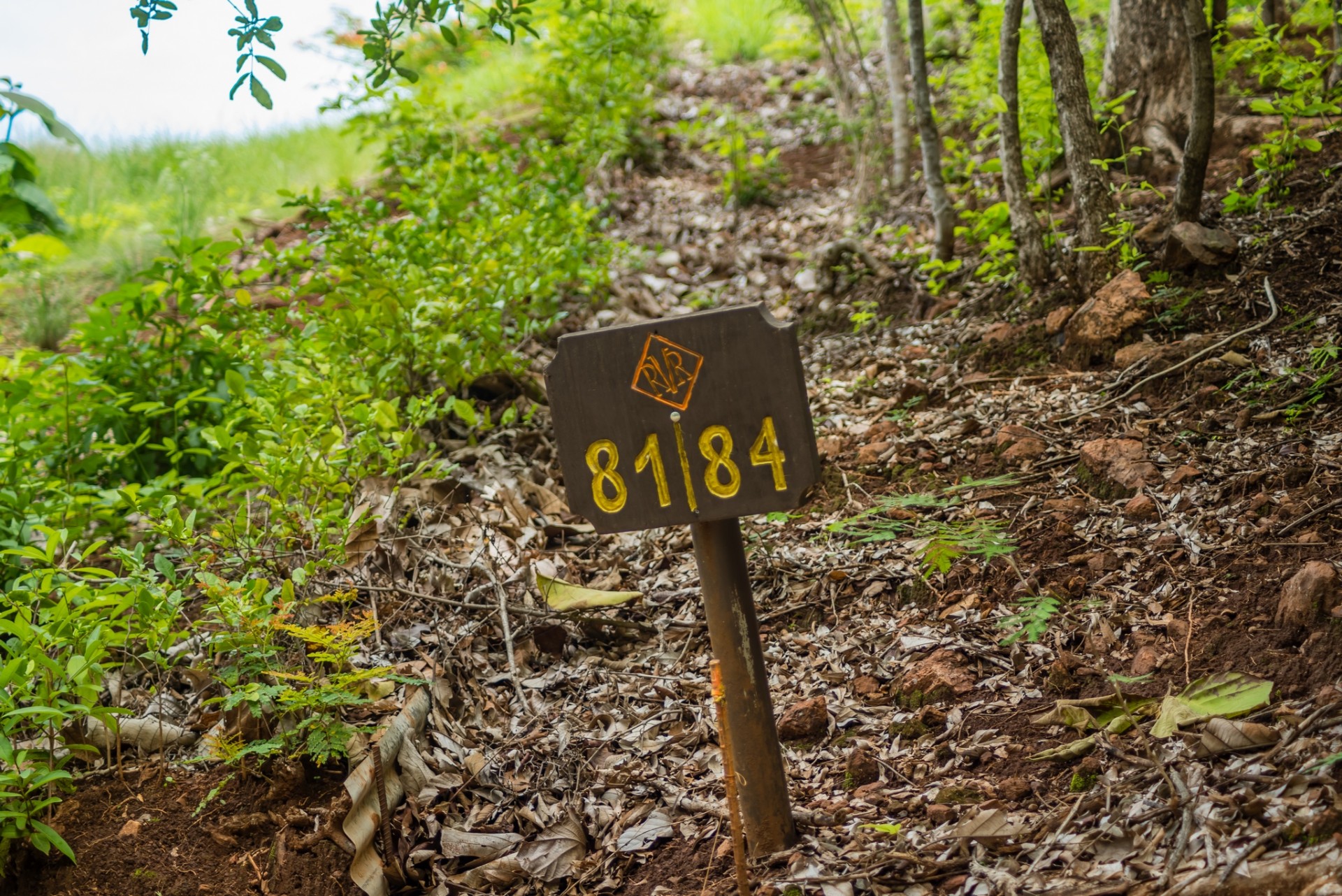 Lot 81, Rancho Villareal - Villareal, Rancho Villa Real, CR