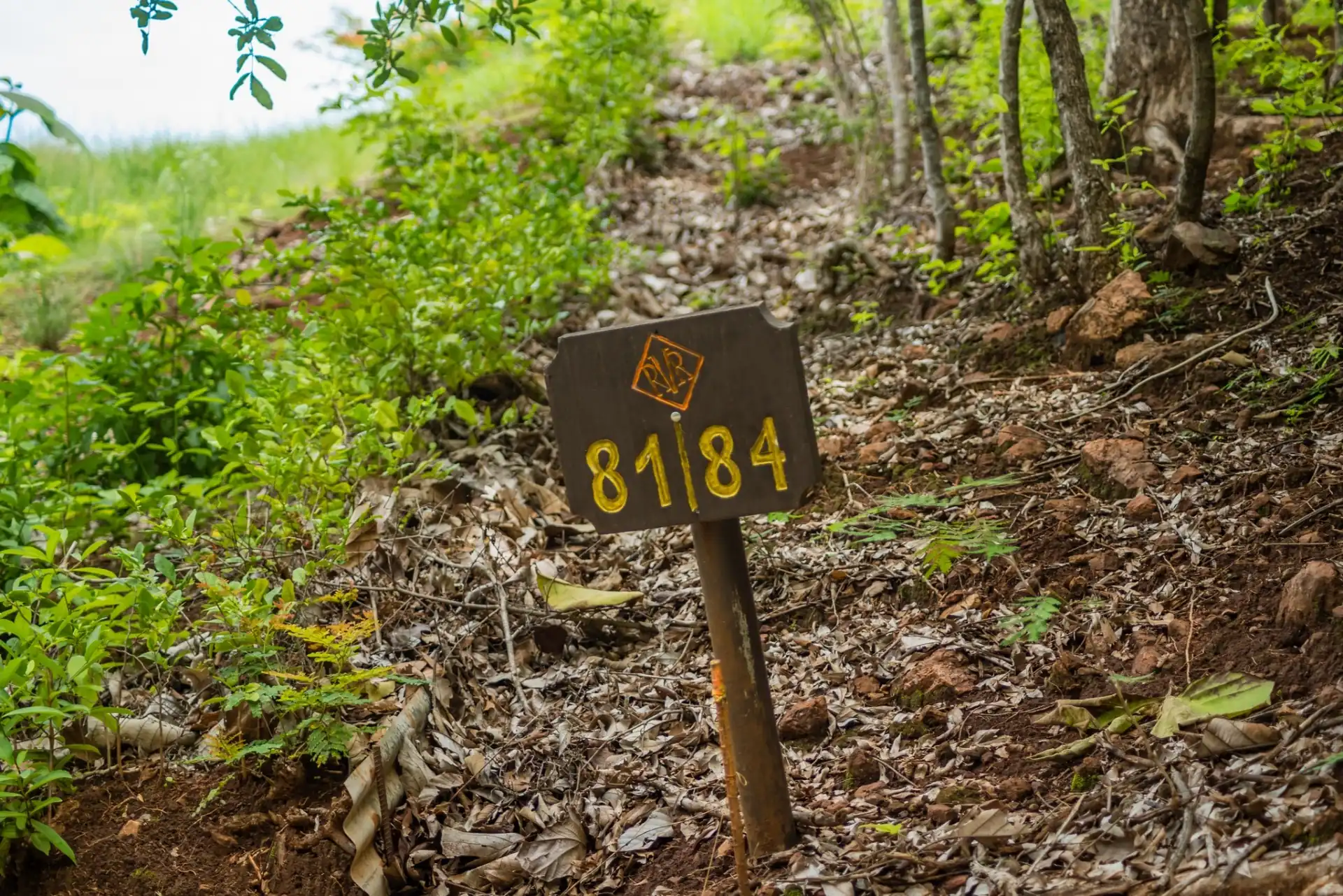Lot 81, Rancho Villareal - Villareal, Rancho Villa Real, CR