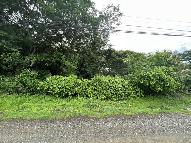 Surfside Lot F15 - Playa Potrero, CR