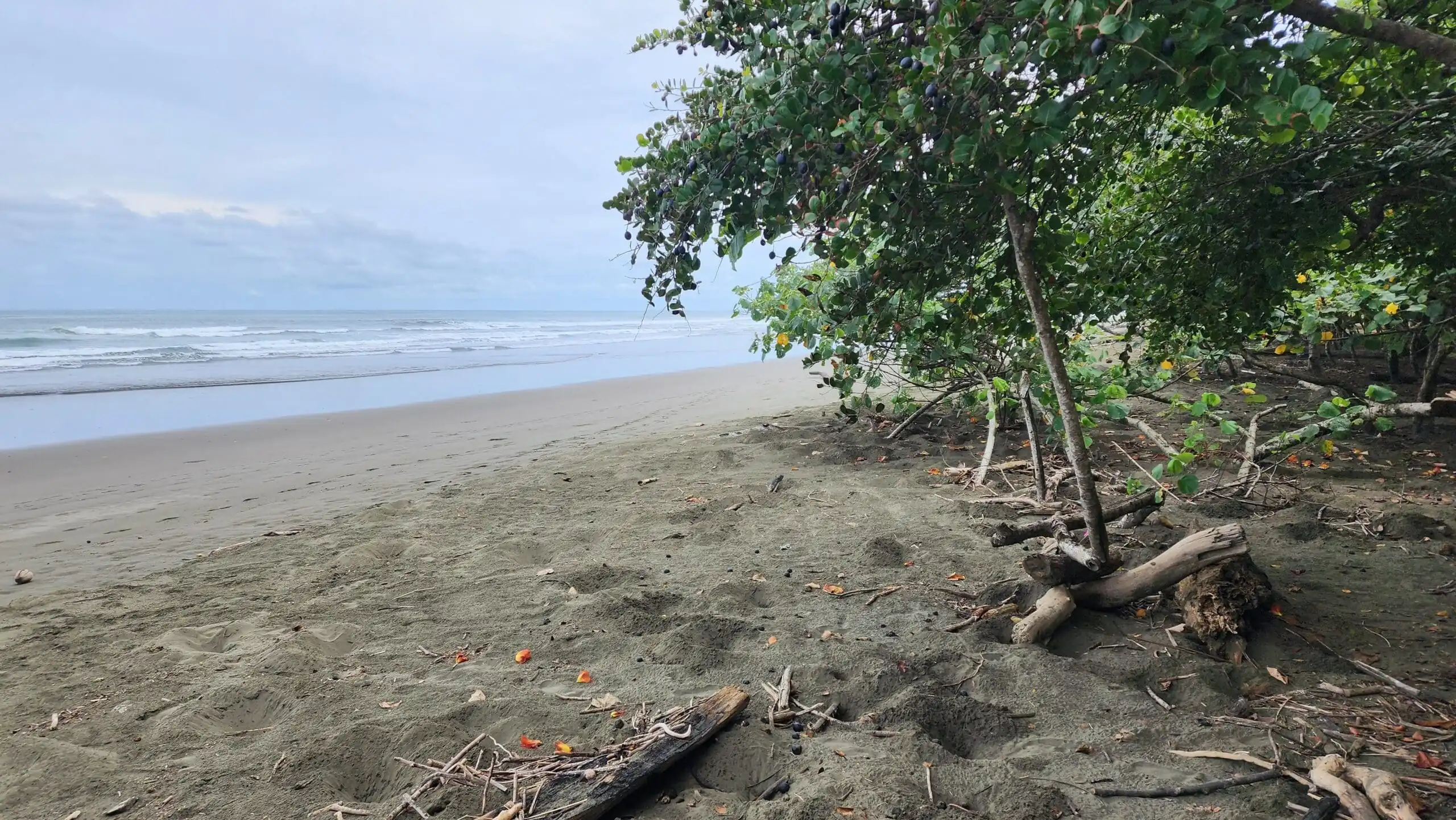Two side by side Beach Lot - Matapalo, CR
