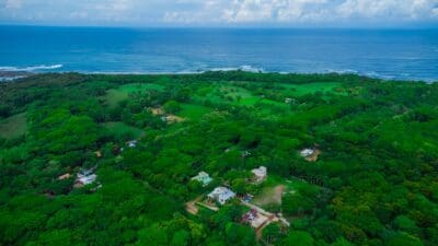 Aerial view of homes set among dense green forest along the Marbella coastline