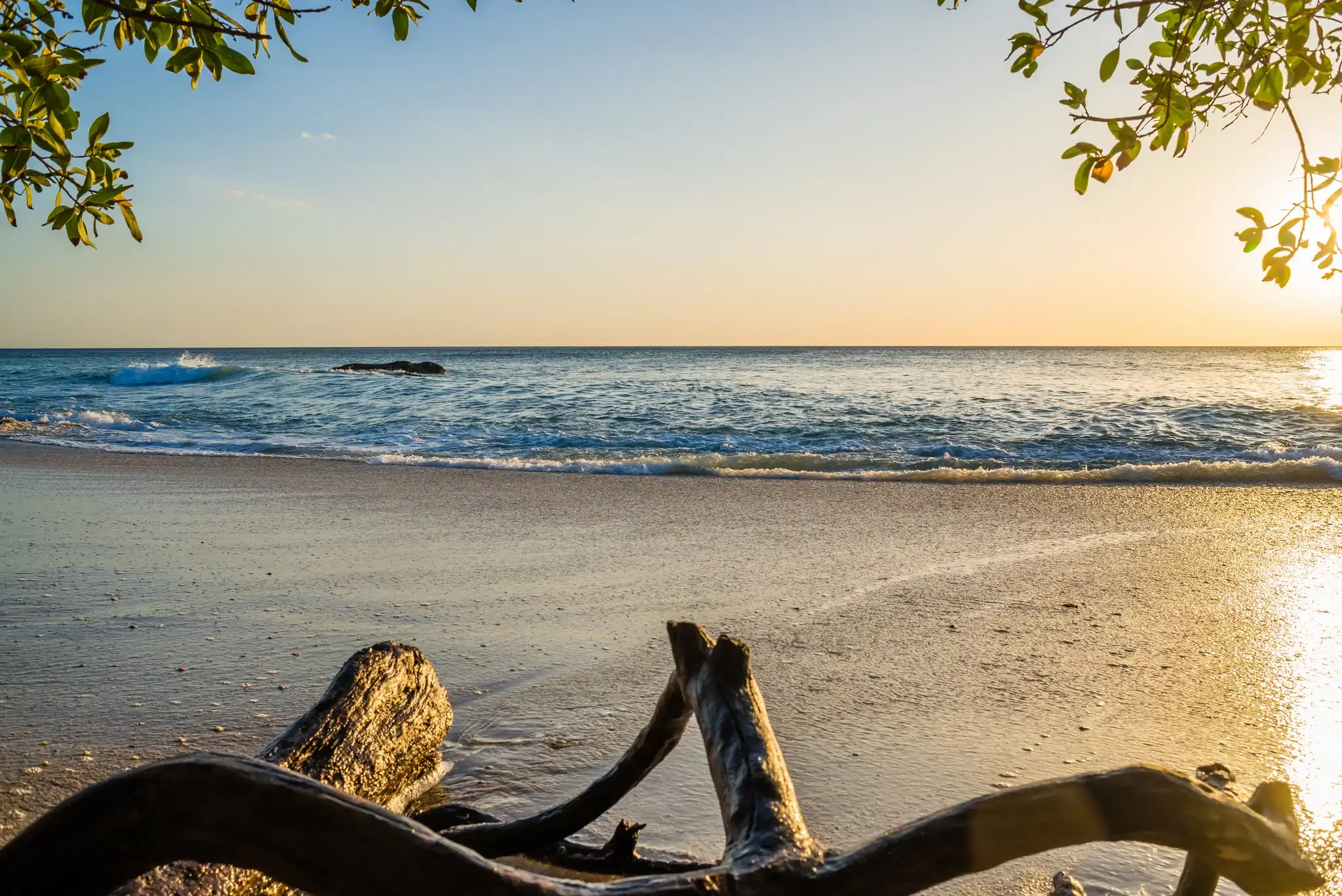 Banner Slider Photo