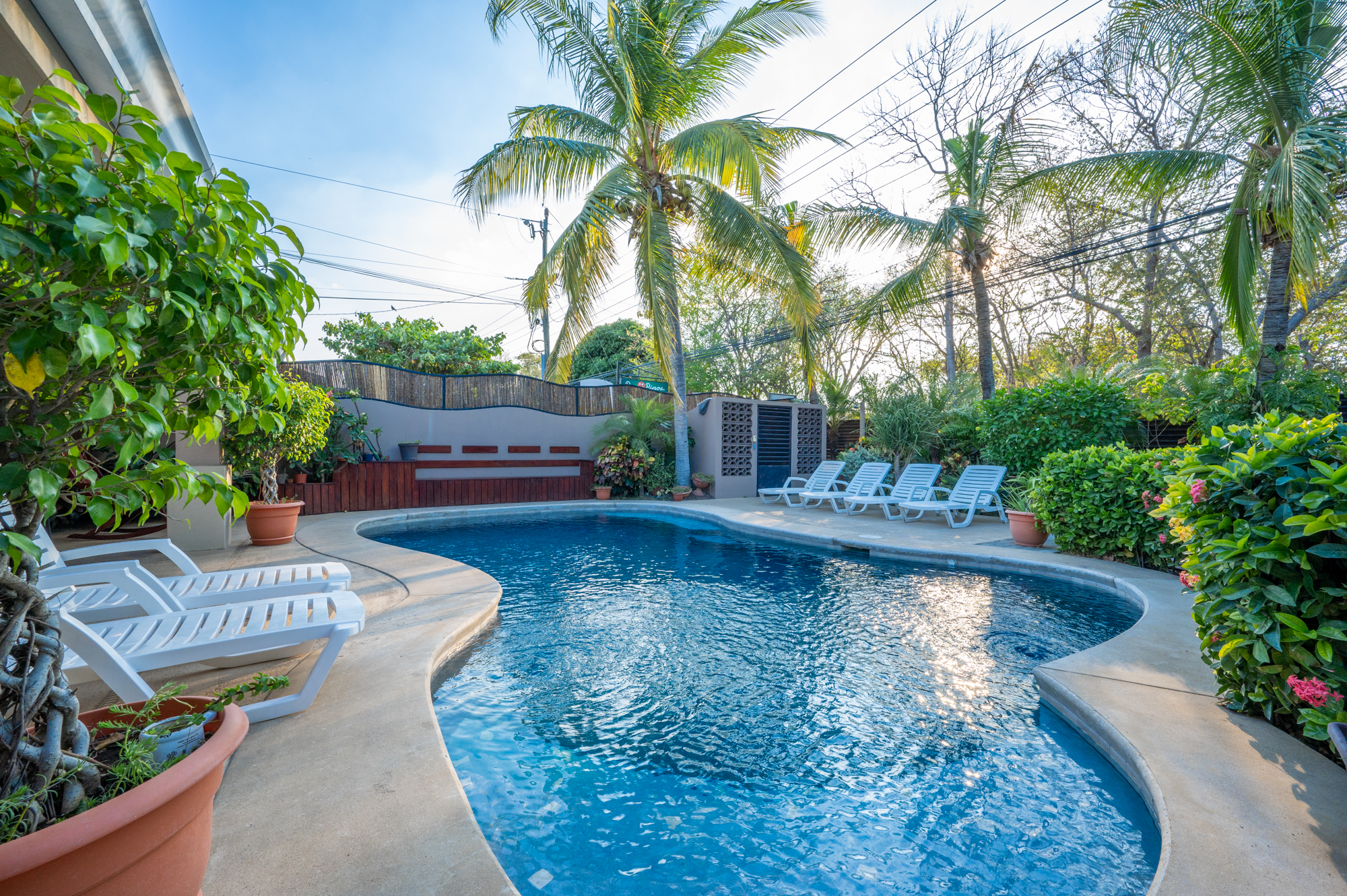 View of Guest House Apartments Near New Marina, Playa Flamingo