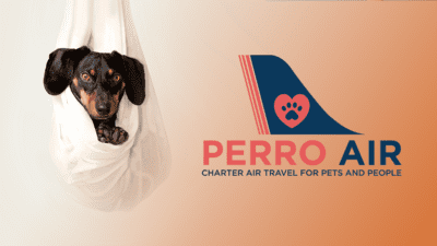 How to Fly Your Pet to Costa Rica
