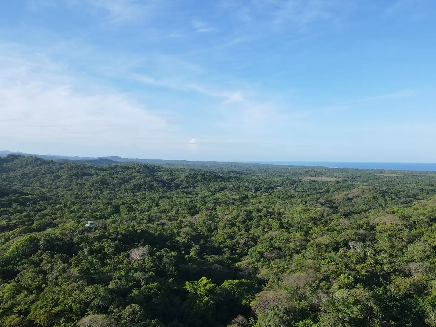 Jungle Sanctuary Lot #58 - Playa Negra, CR