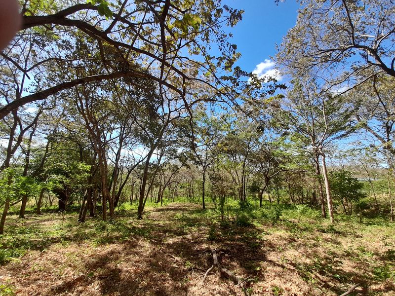 Terreno en venta en Villarreal, Guanacaste