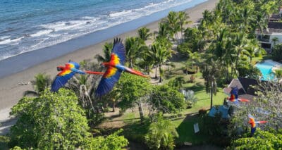 Investment Opportunities in Costa Rica: A Guide to Prosperity