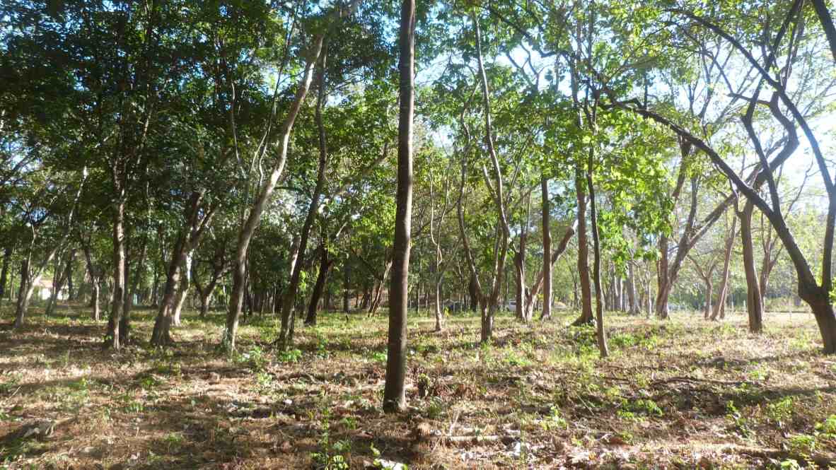 Lot for sale in Tamarindo, Guanacaste