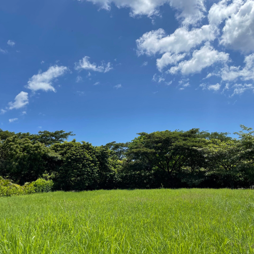Reserva de Golf Lot #58 - Hacienda Pinilla, CR