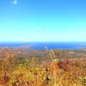 T-77 Large Property (20 hectares) - Playa Potrero, CR