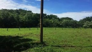 T-Leal 5 - Playa Tamarindo, CR