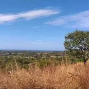 Finca Nickmata - Matapalo, CR