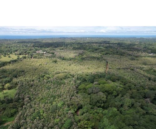 9.5-Acre Farm for Sale Featuring Commercial Operations - Playa Avellanas, CR