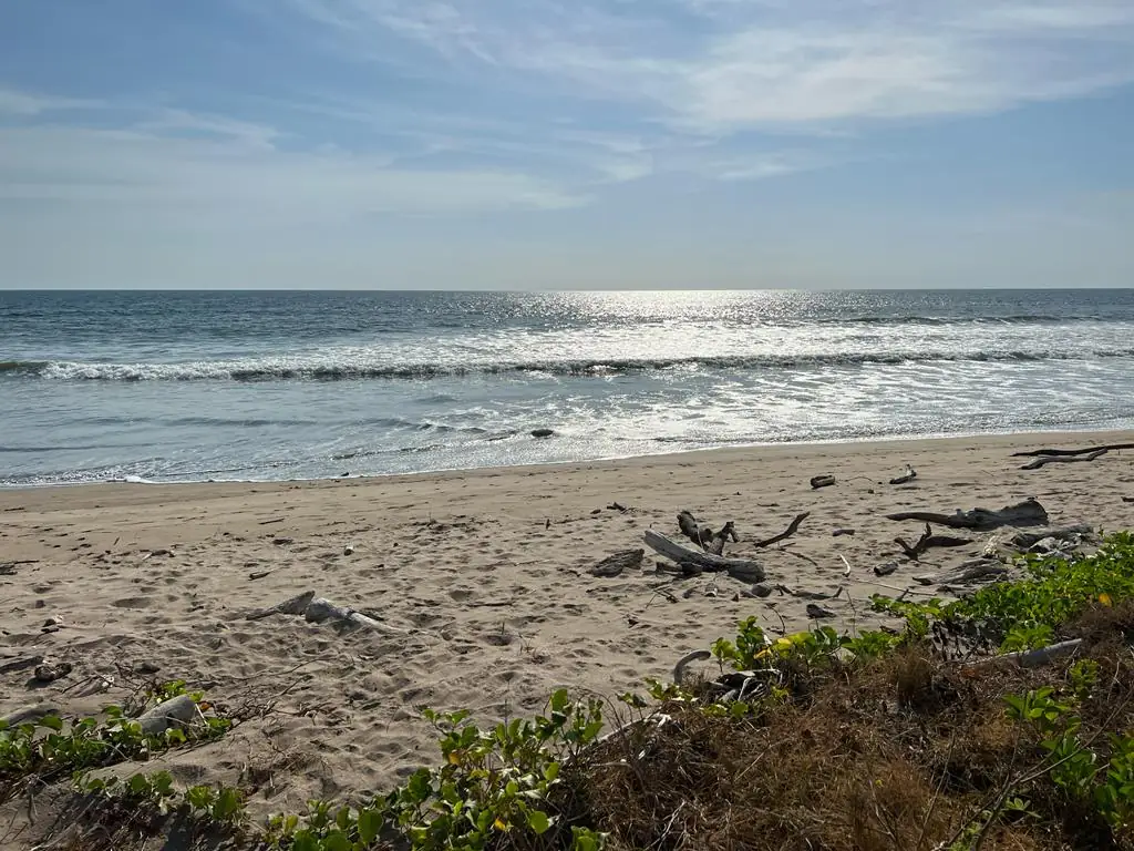 Beachside Lot - Playa Grande, CR