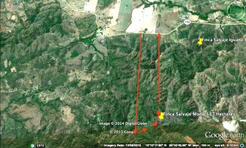 Farm 137 Hectares - Playa Tamarindo, CR