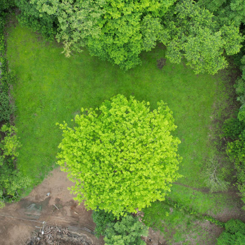 Lot for sale in Hacienda Pinilla, Guanacaste