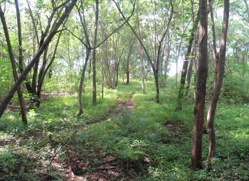 Terreno en venta en Playa Marbella, Guanacaste