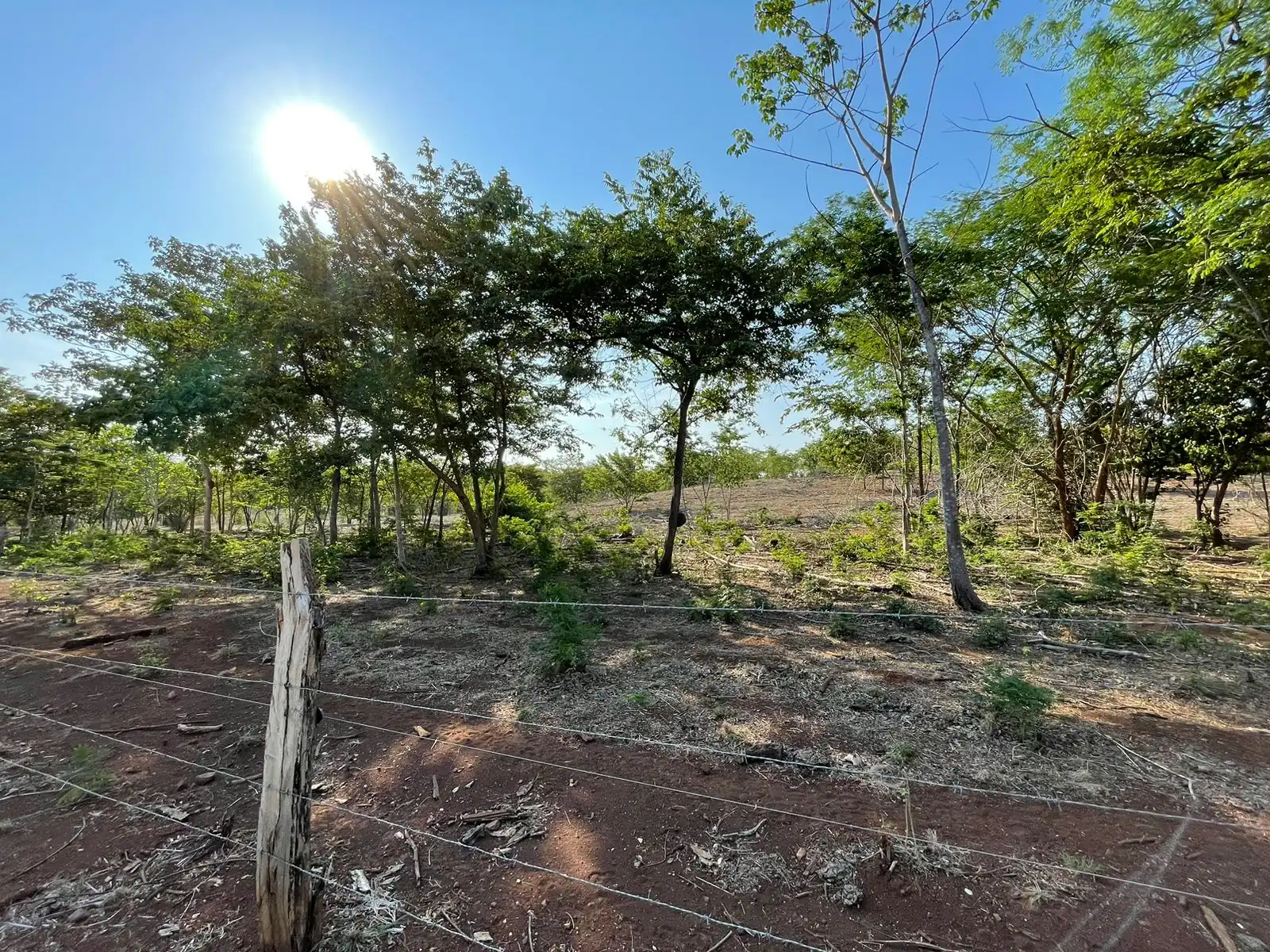 Beautiful Estate Lots Strategically Located in Villareal – Tamarindo – Guanacaste - Villareal, CR