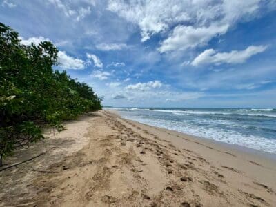 Langosta Building Lot, Land, Flamingo Beach Realty