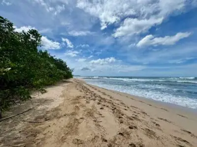Langosta Building Lot, Land, Flamingo Beach Realty