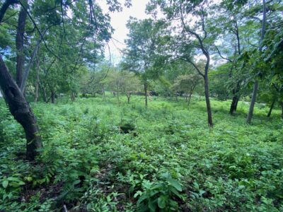 Terreno en venta en Tamarindo, Guanacaste