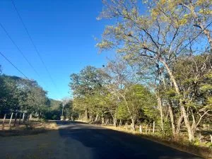 Development-Ready Lot Portegolpe - Portegolpe, CR