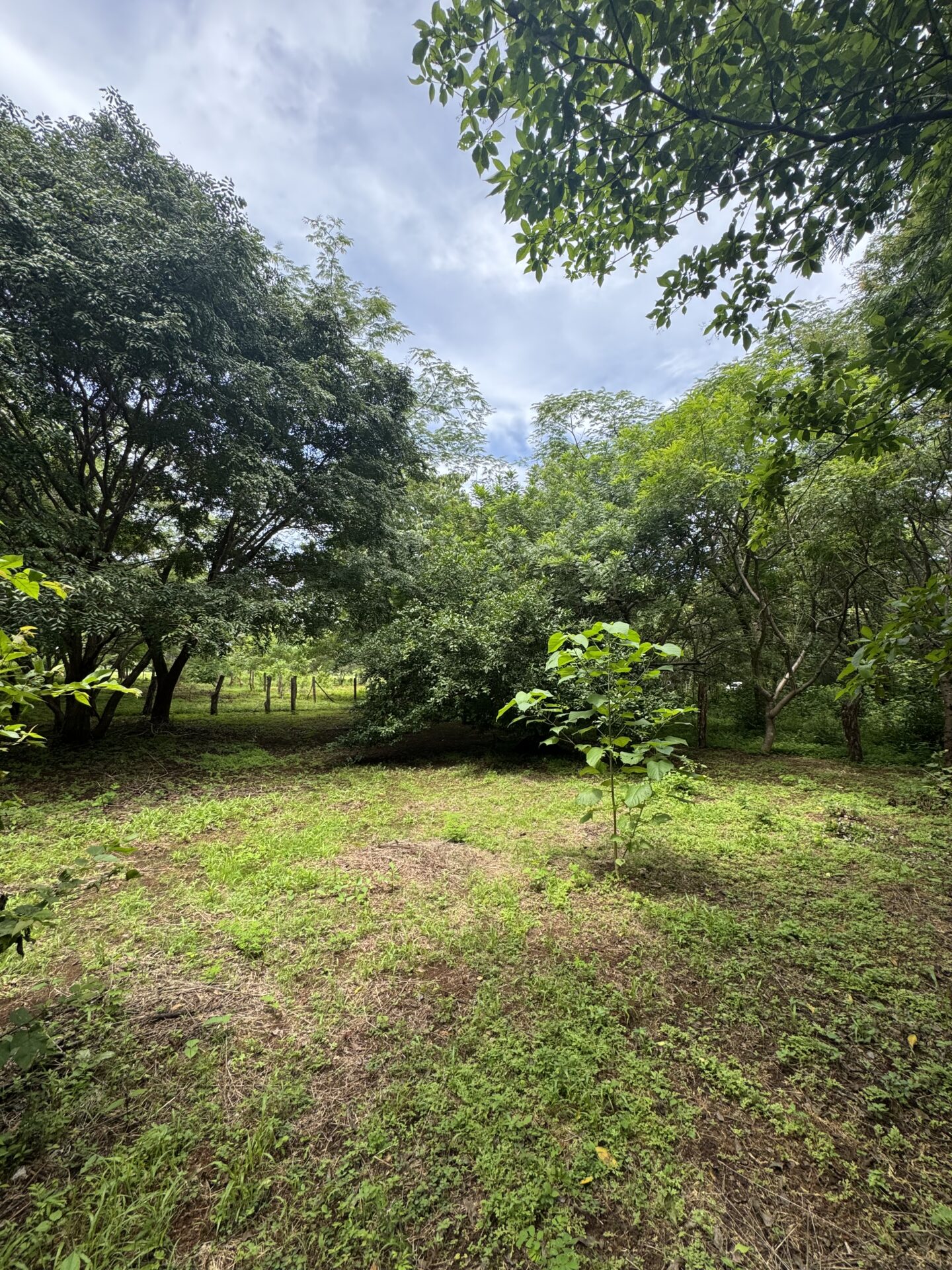 Blue Zone Investment Lot - Playa Junquillal, CR