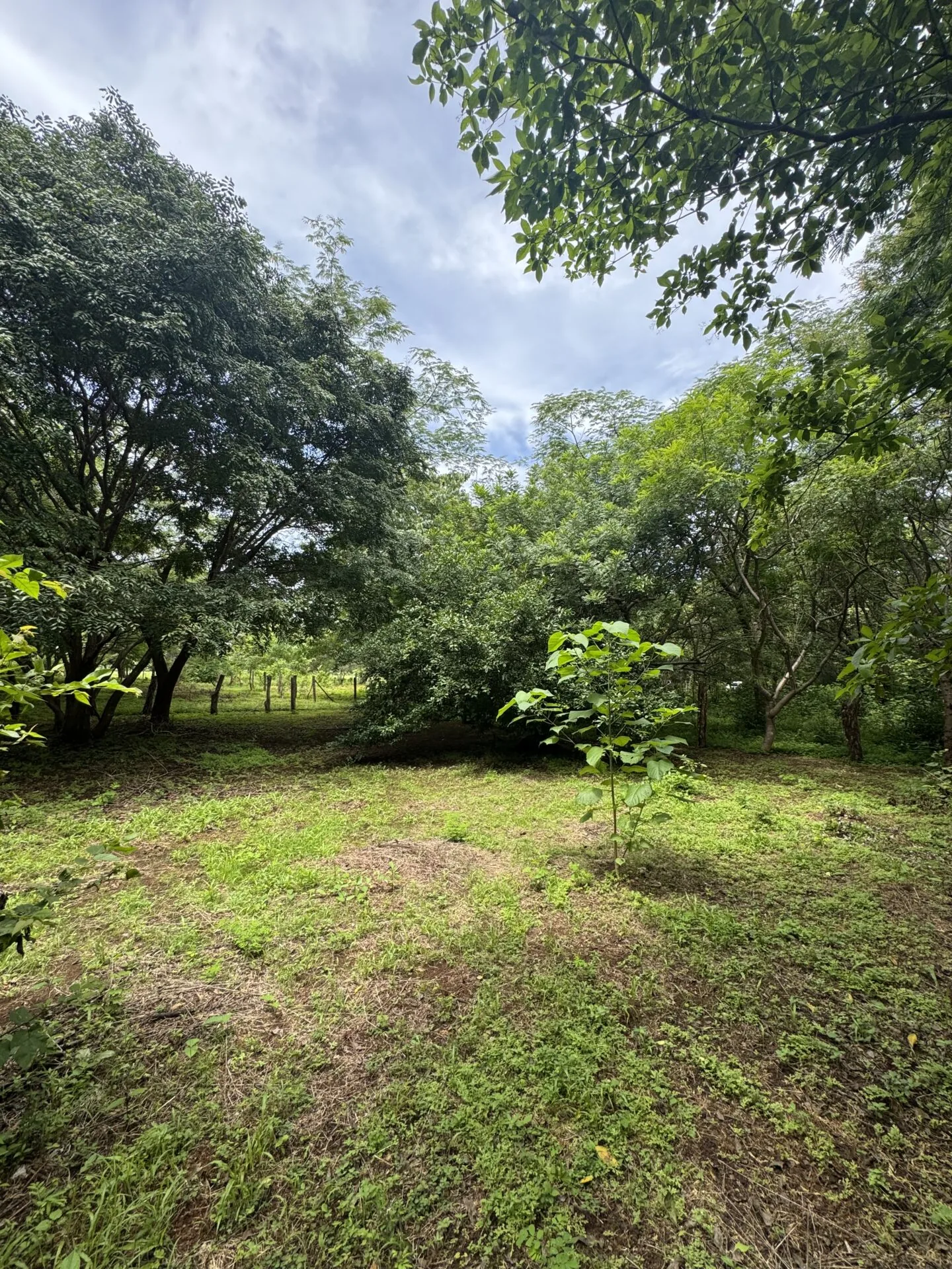 Blue Zone Investment Lot - Playa Junquillal, CR