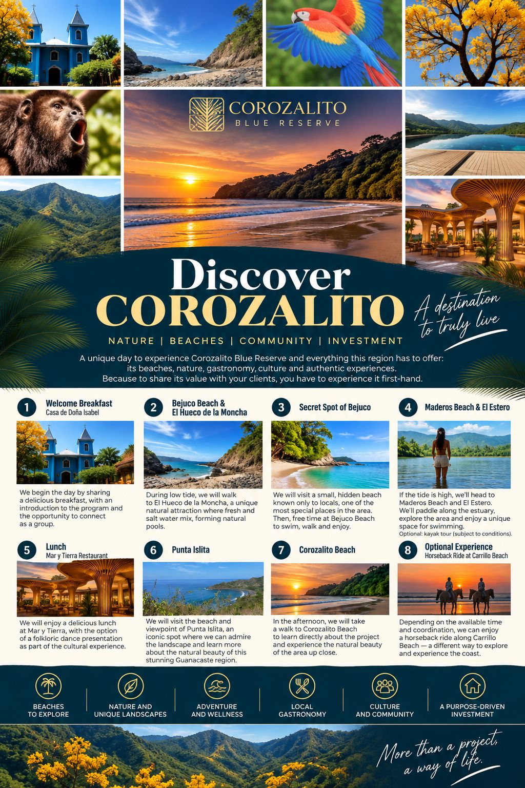 Discover Corozalito: a day exploring Corozalito Blue Reserve, Bejuco Beach, the hidden surf spot between Corozalito and Bejuco, Maderos Beach, Punta Islita and Corozalito Beach, Guanacaste